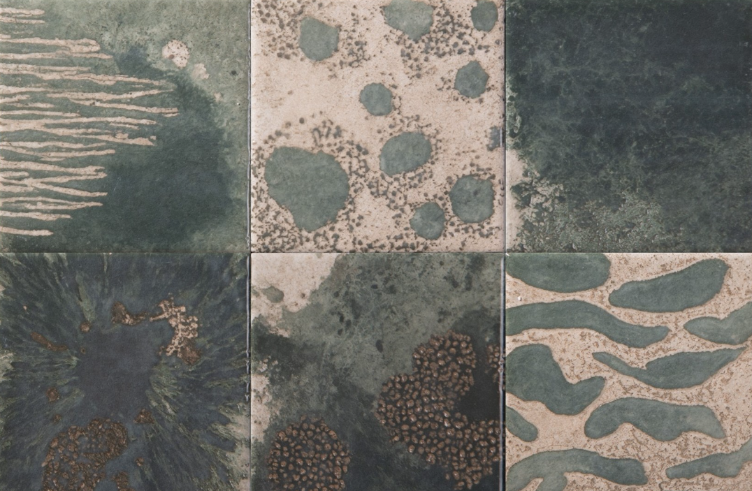 image_2026-02-17_163441328