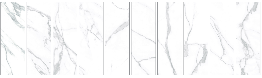 image_2026-02-24_115404704